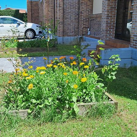 Casa Grande Con Jardin Santa Cruz De Bezana Exterior foto